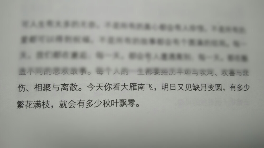 今天你看大雁南飞，明日又见缺月变圆，有多少繁花满枝，就会有多少秋叶飘零