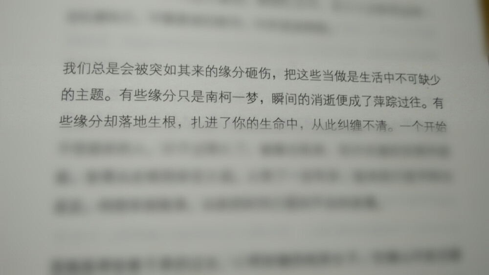 有些缘分只是南柯一梦，瞬间的消逝便成了萍踪过往