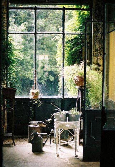 #森系家居#绿意。生机。