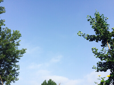 夏。天。