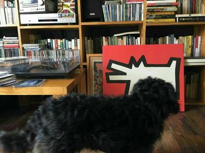 凯斯哈林，美国街头绘画艺术家，作品带有浓厚的波普艺术风格，第一位将街头涂鸦艺术进入博物馆。这幅戴鳄鱼面具的狗不仅仅是凯斯哈林的代表作品，还成功地引起家里狗狗的注意，哈哈