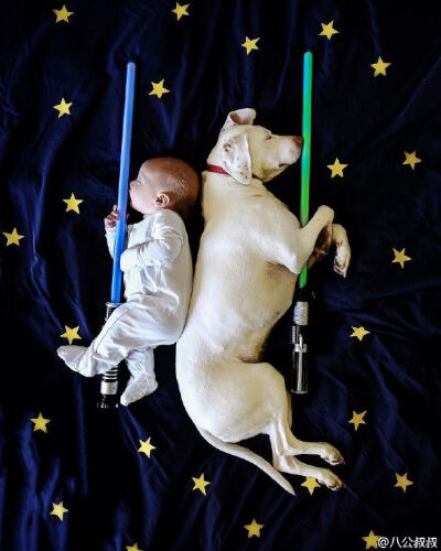 美国一对爹妈生了三个娃，收养了三只狗和三只猫。如今小儿子八个月了，他们拍了这样一组温馨的照片，人生如此，夫复何求啊？