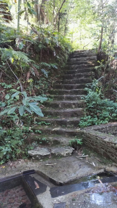 晶晶，生活，旅行，植物，花朵，开春，春天，唯美，花季，蓝天，叶子，绿叶，山间，农庄