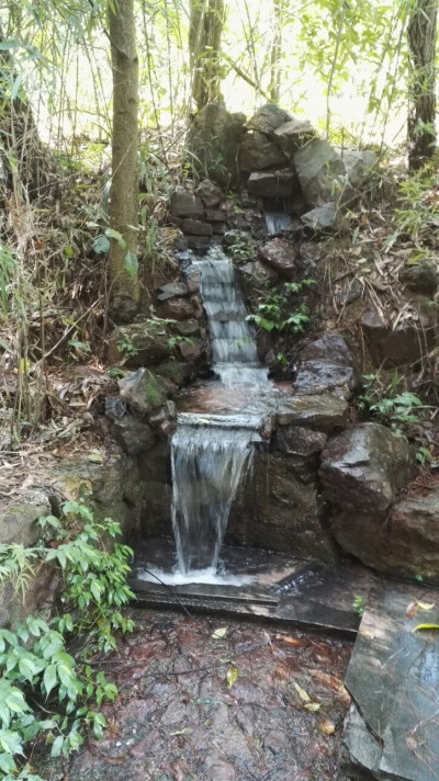 晶晶，生活，旅行，植物，花朵，开春，春天，唯美，花季，蓝天，叶子，绿叶，流水