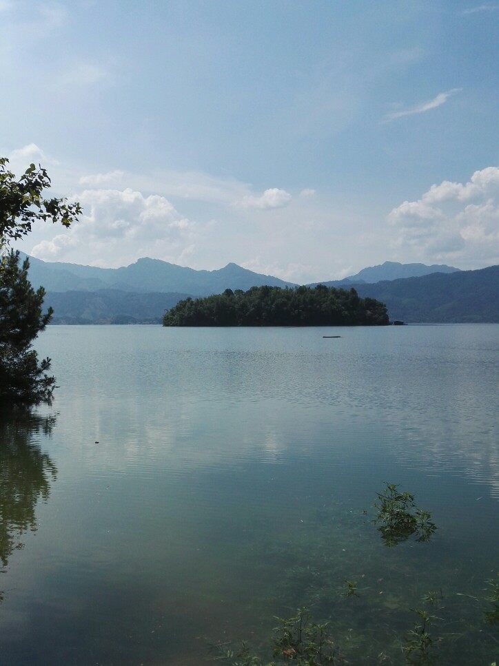 晶晶，生活，旅行，植物，花朵，开春，春天，唯美，花季，蓝天，小岛