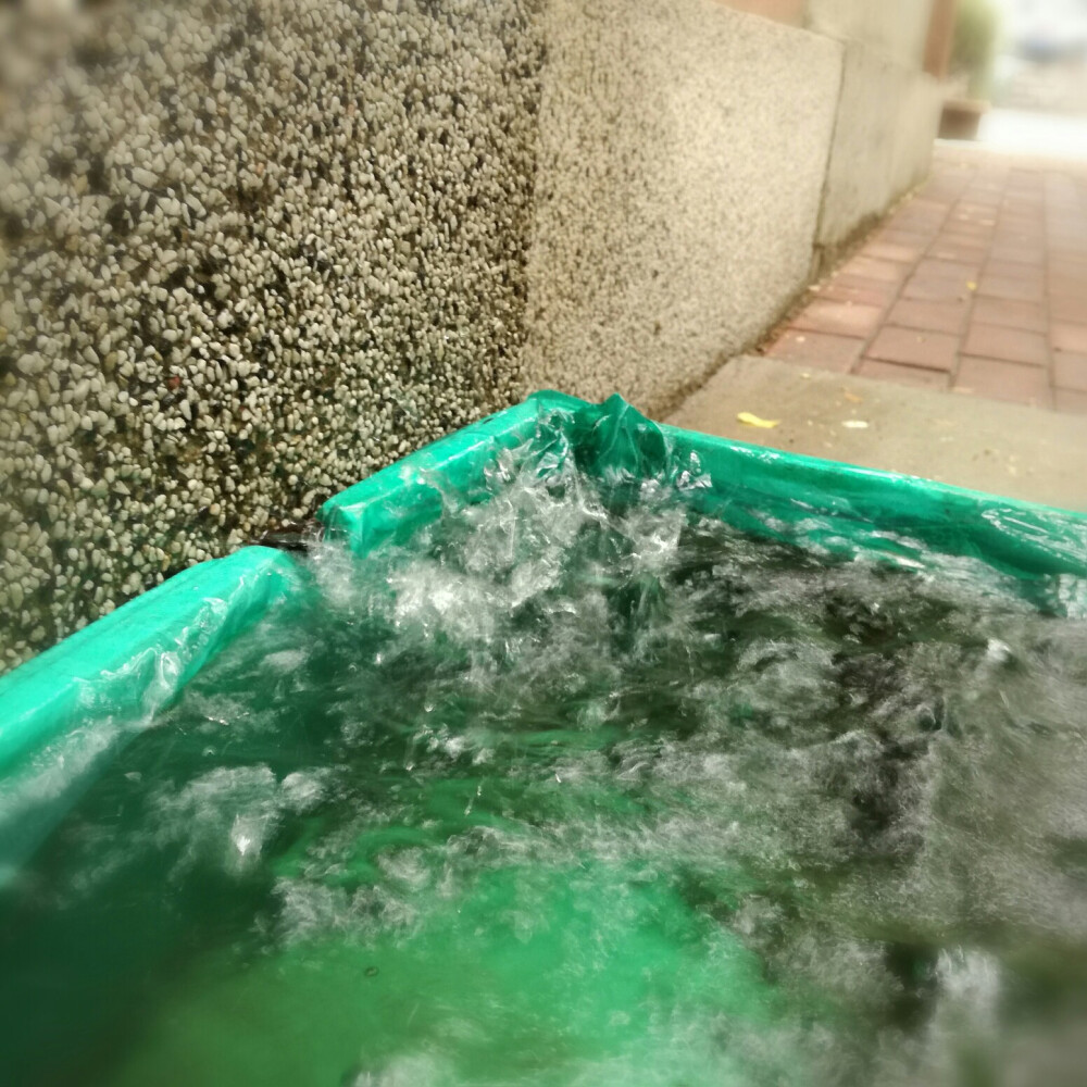 下雨之后管道排出的雨水。