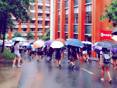 雨，校园