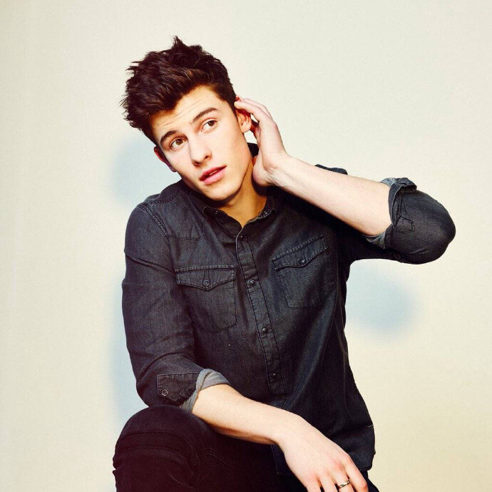 Shawn Mendes