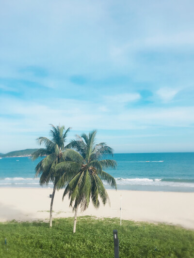 海风椰林