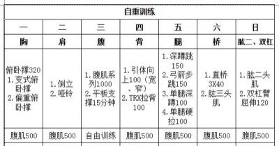 自重训练