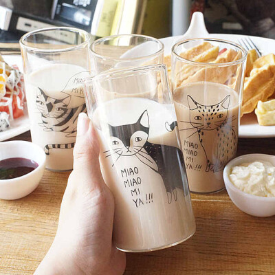 甜甜家 韩国线描动物我在猫玻璃水杯小直杯学生早餐杯牛奶杯