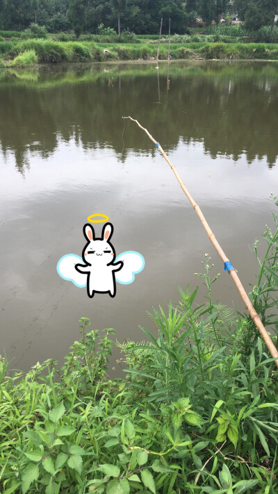 钓鱼的白大爷任月