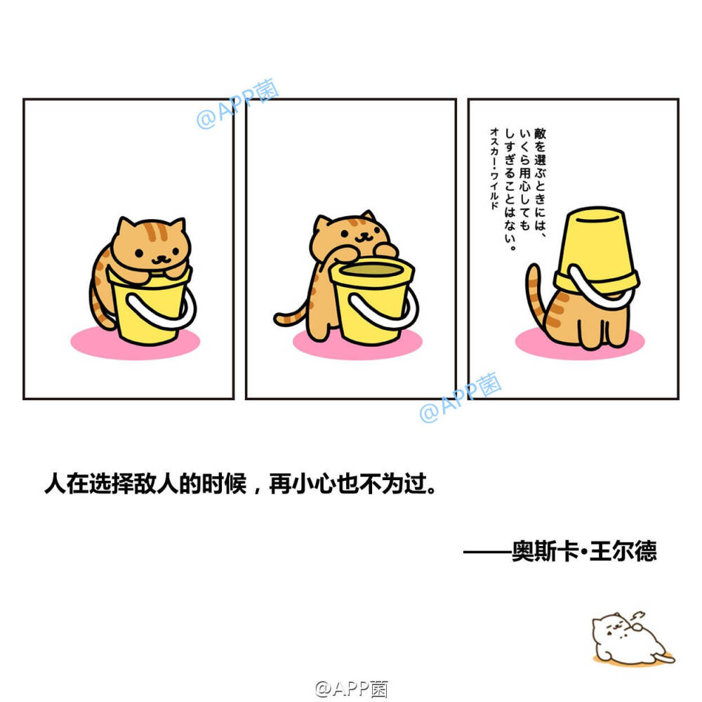 猫咪后院。