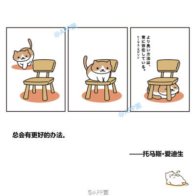 猫咪后院。