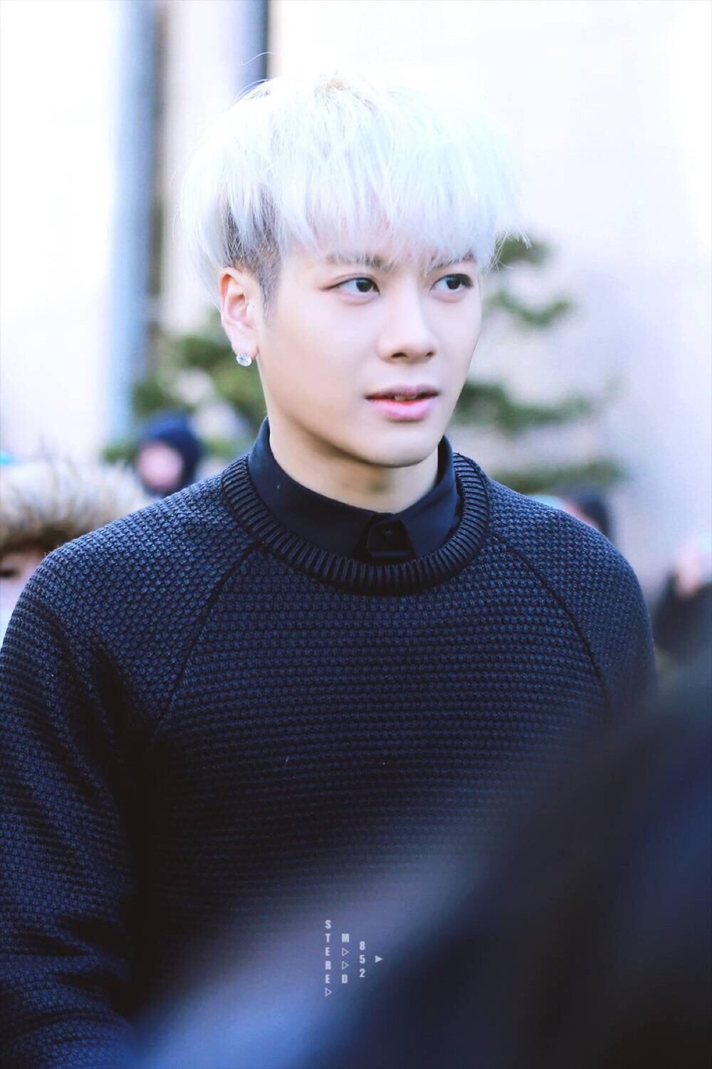 got7王嘉尔白色顺毛宝宝可爱炸了