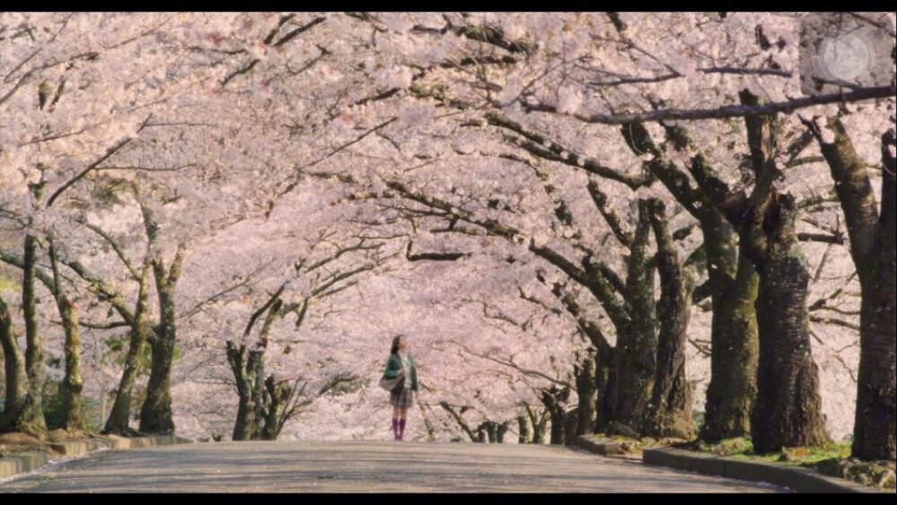 樱花与鹿