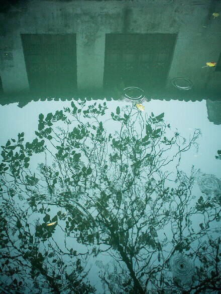 烏篷船，聽雨眠，一蓑煙雨枕江南。