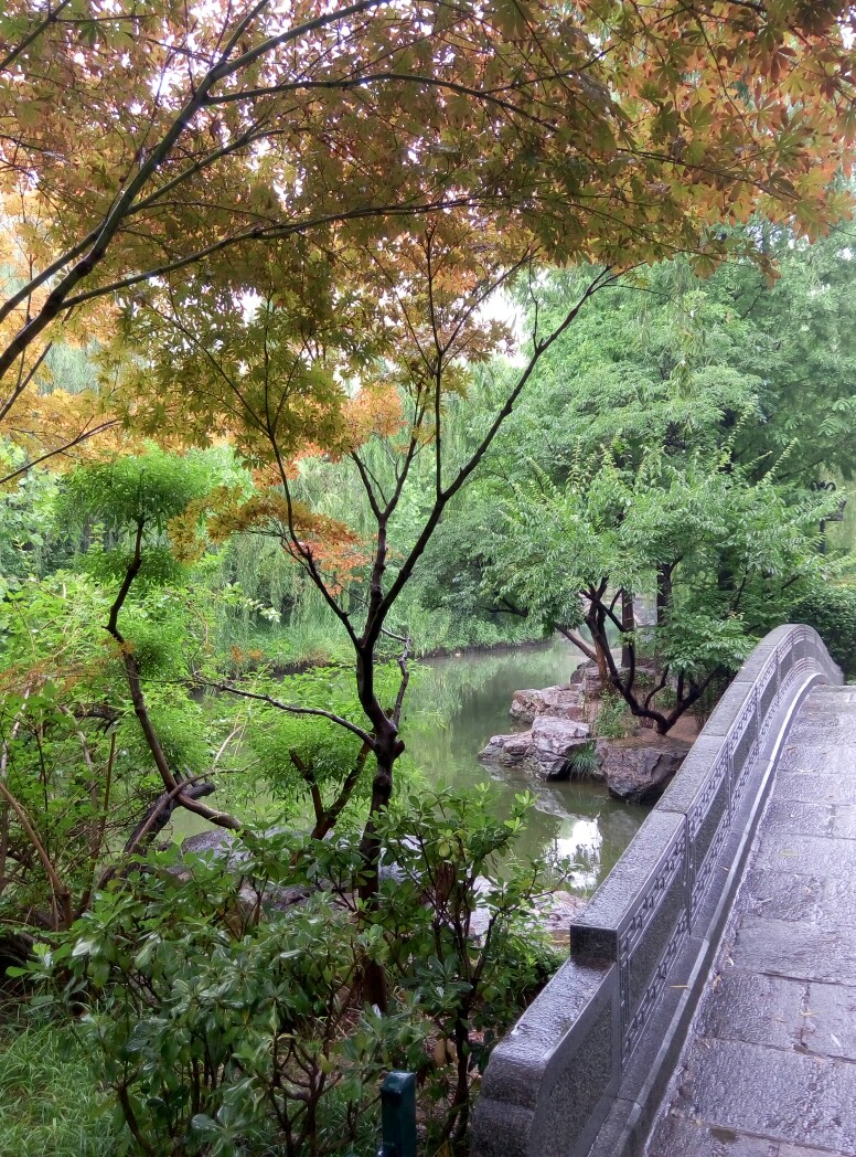 济南.大明湖
雨天赏荷，鹊华烟雨。