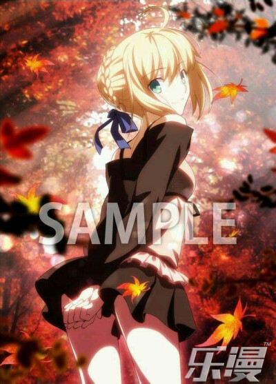 fate Saber 秋 枫叶 唯美 武内崇 