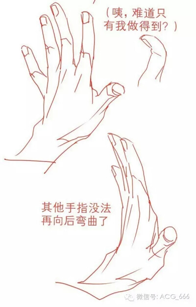 动漫绘画教程