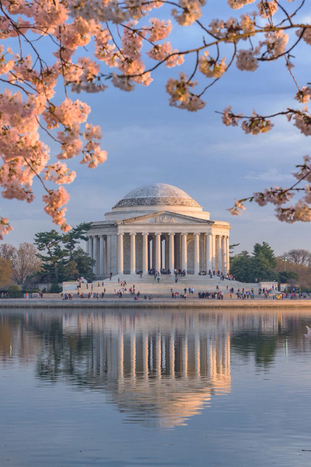 Tidal Basin
华盛顿潮汐湖 