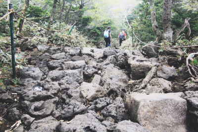 2016 5月 济州岛 汉拿山 城板岳登顶路线 山顶陡峭路段 微博@Helen鸢鸢