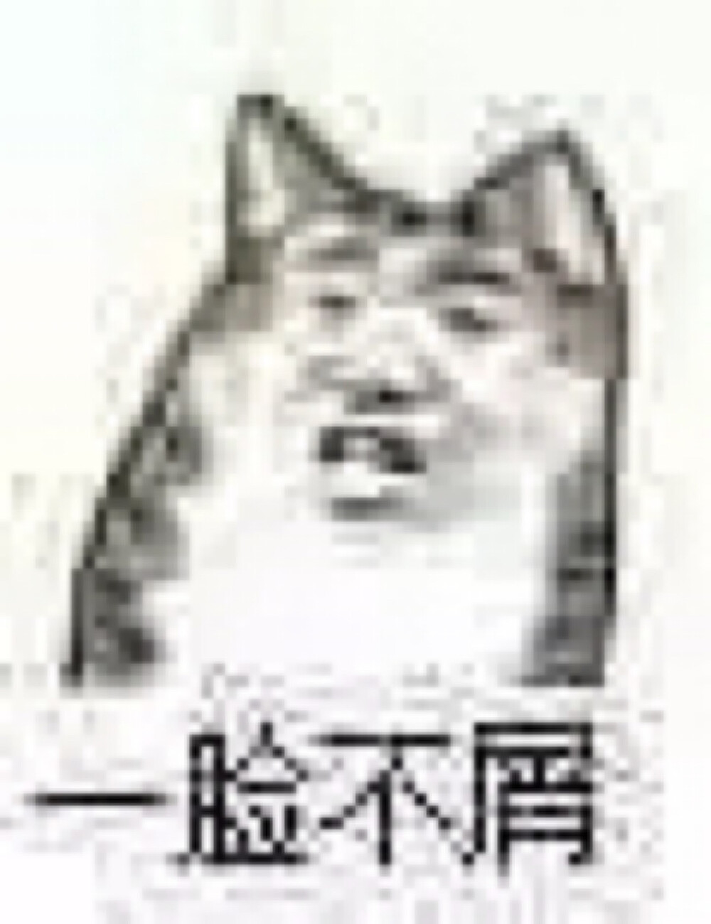 表情 小表情