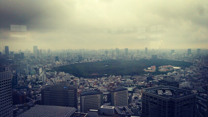 新宿都厅，东京的楼很密~