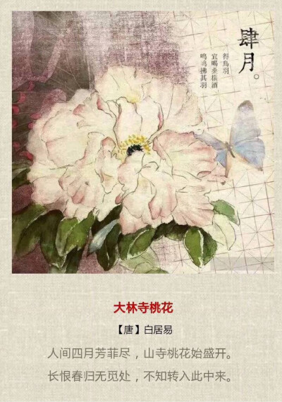 古诗里的十二个月