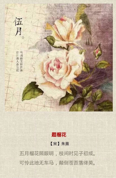 古诗里的十二个月