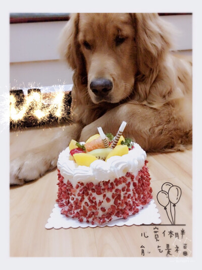 【和狗狗的十个约定】 ①请一定要仔细聆听我的话。 ②信赖我，就像我总是信赖你一样。 ③多和我一起游戏。 ④永远都不要忘记我。 ⑤不要吵架。 要是打架的话，一定是我胜利。 ⑥对我说话，我没有听到的话。一定是有…