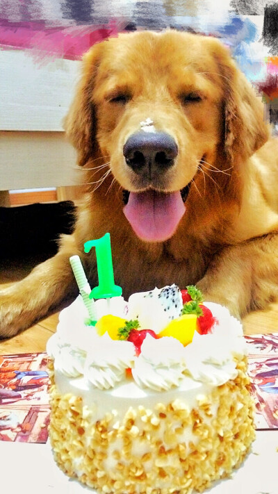 【和狗狗的十个约定】 ①请一定要仔细聆听我的话。 ②信赖我，就像我总是信赖你一样。 ③多和我一起游戏。 ④永远都不要忘记我。 ⑤不要吵架。 要是打架的话，一定是我胜利。 ⑥对我说话，我没有听到的话。一定是有…