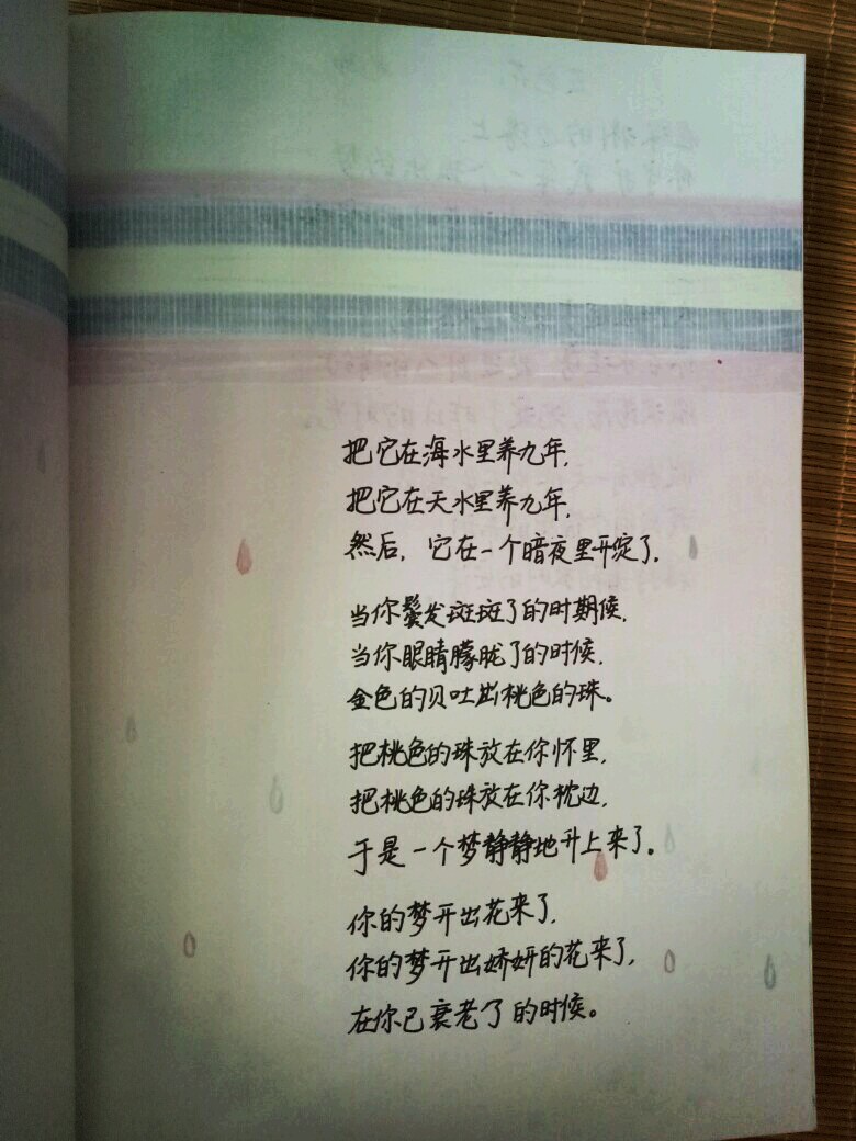 我的梦