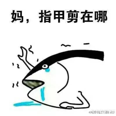 是我，一到暑假就是咸鱼一条...[笑cry]