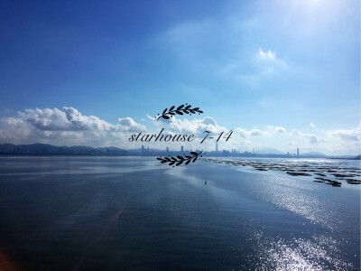 从深圳湾入香港过桥时的风景