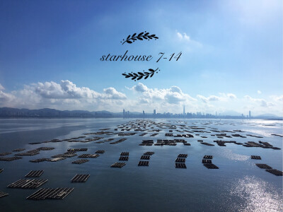 从深圳湾入香港过桥时的风景