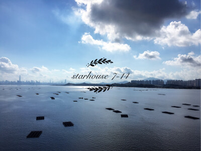 从深圳湾入香港过桥时的风景