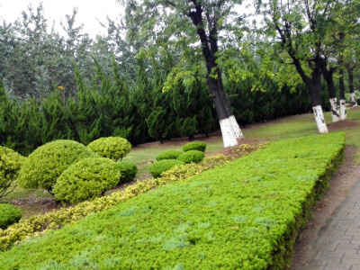 2016年07月15日，下过一场雨，所有的风景都干净了许多。