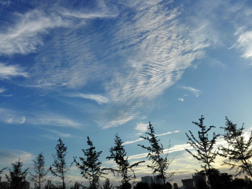 2016年07月05日，这样的风景总会想起你。那天的夕阳，余晖拉的无限长，听着日语版的很爱很爱你，在机场大巴上哭出了声。