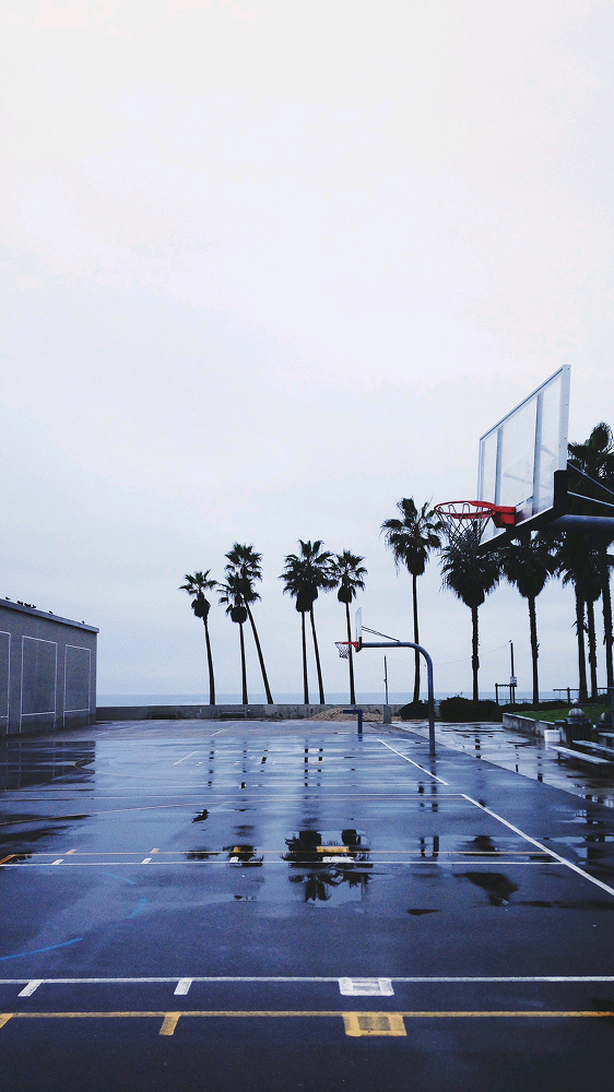 「杂」
雨后篮球场