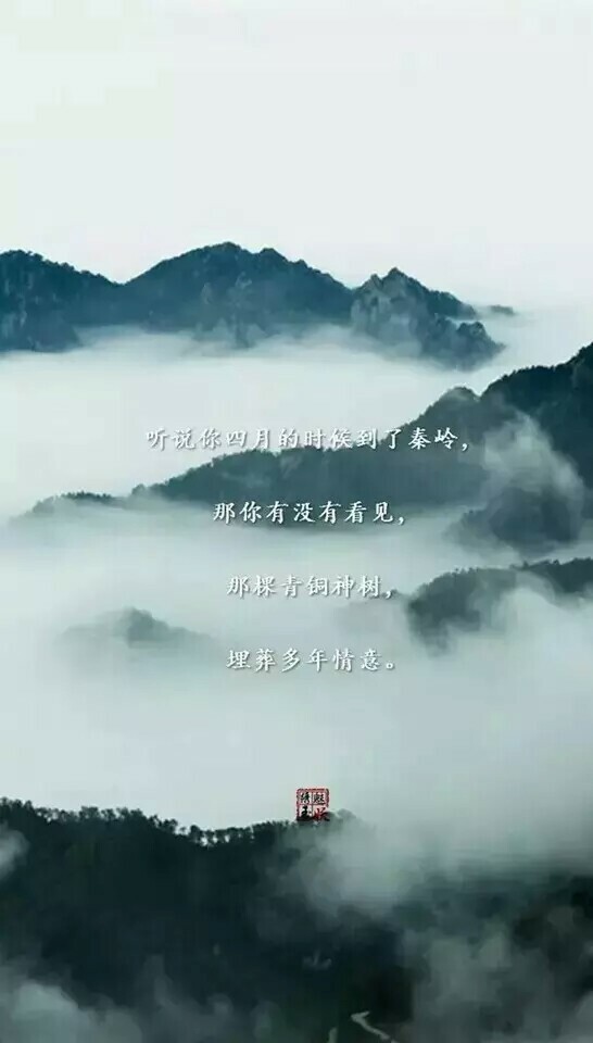 绣魅玉妖
