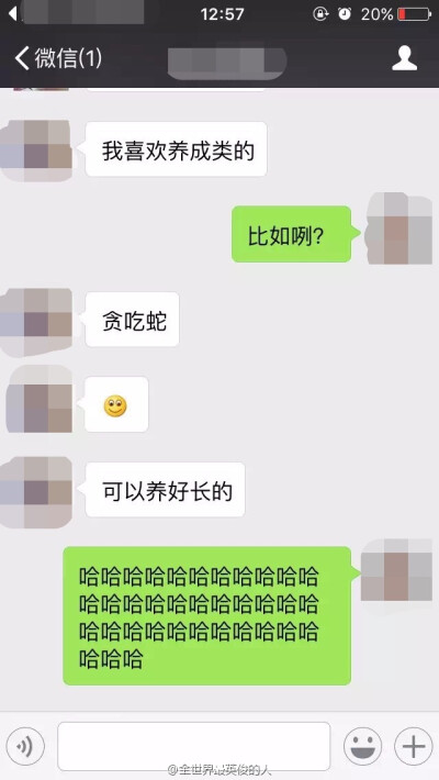 哈哈哈哈哈哈