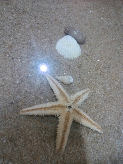 就算再不堪也不能将就跟凑合，每个人都有一个适合自己的，不能为了任何的事情凑合或将就，这是今天看过最对的一句话！