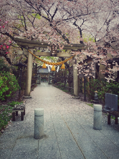 金泽中村神社