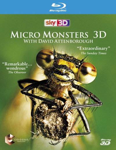 【片名】微型猛兽世界之旅 Micro Monsters 3D (2013)，【制片国家/地区】英国，【集数】7集，【单集片长】22分钟，【简介】上世纪七八十年代的好莱坞电影里，蚂蚁，蜘蛛，苍蝇，蜜蜂，蜘蛛，蜈蚣等经常是主角。这些…