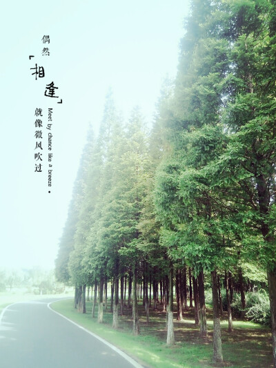 宜兴，龙背山森林公园