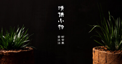 植觉［火］菖蒲盆景 花菖蒲 银线金线菖蒲 实物盆景【清供】