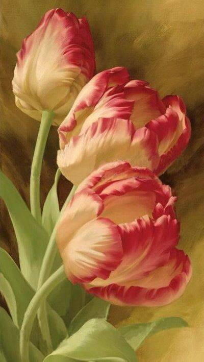 郁金香Tulipa gesneriana.是荷兰的国花。 美国的白宫，法国卢浮宫博物馆等的花坛上，每年都有无数游客来浏览和观赏它的芳容。不但如此，在艺术插花方面，它又是最难能可贵的花材。它的花柄可长达四、五十厘米，不论…