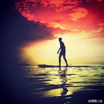 “真实的生活是，认真做好每一天你分内的事情 。不索取目前与你无关的爱与远景 。不纠缠于多余情绪和评断 。”