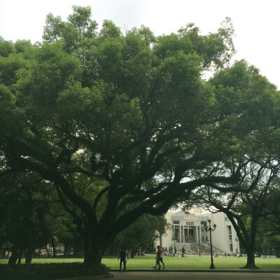 中山大学